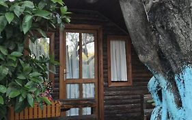 Zeytindağı bungalow