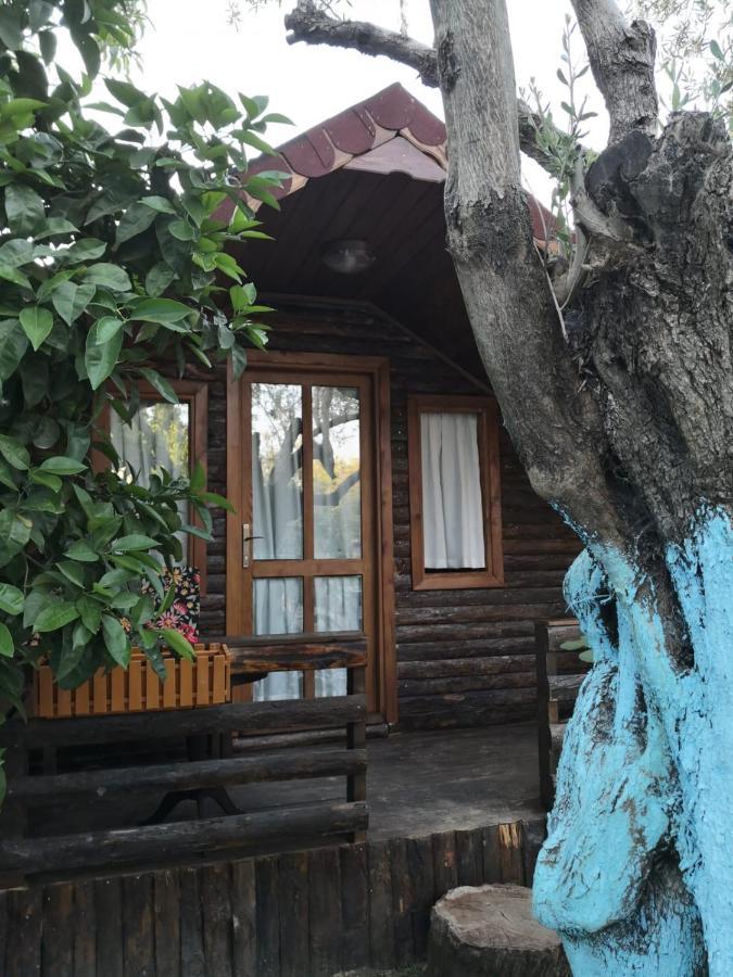 Zeytindağı bungalow Mehmetalani Dış mekan fotoğraf