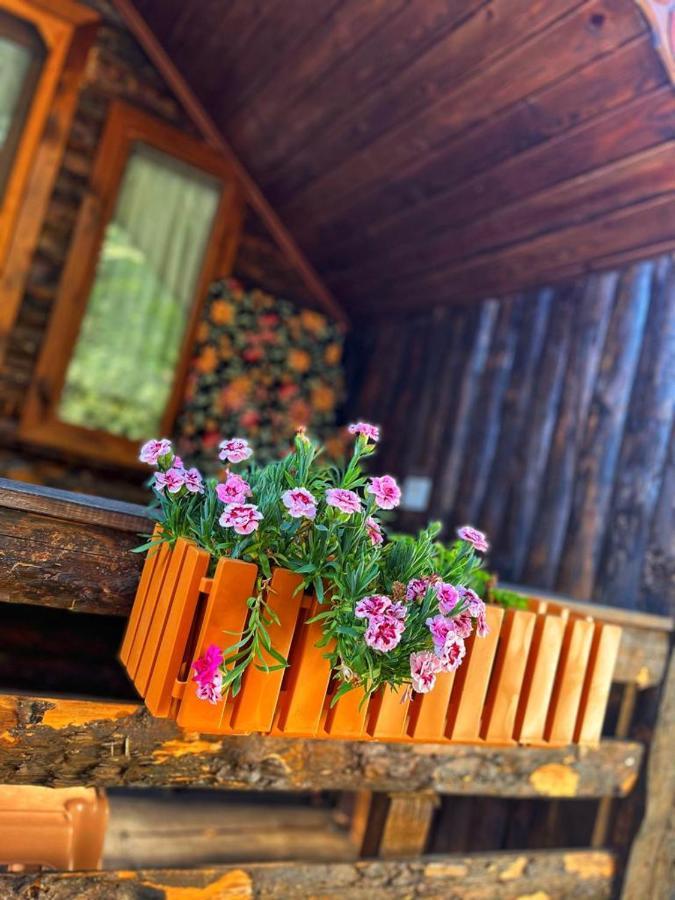 Zeytindağı bungalow Mehmetalani Dış mekan fotoğraf