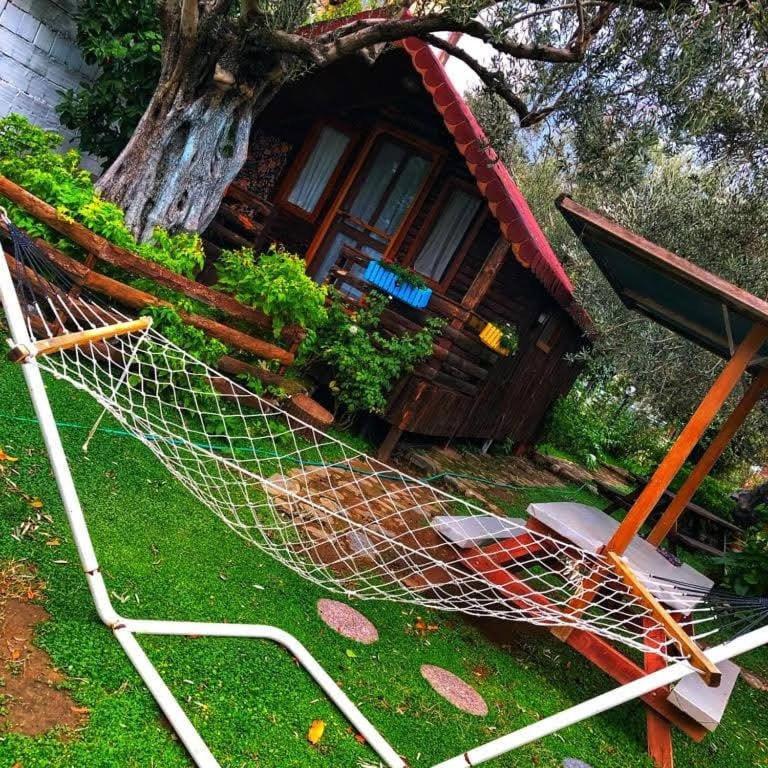 Zeytindağı bungalow Mehmetalani Dış mekan fotoğraf