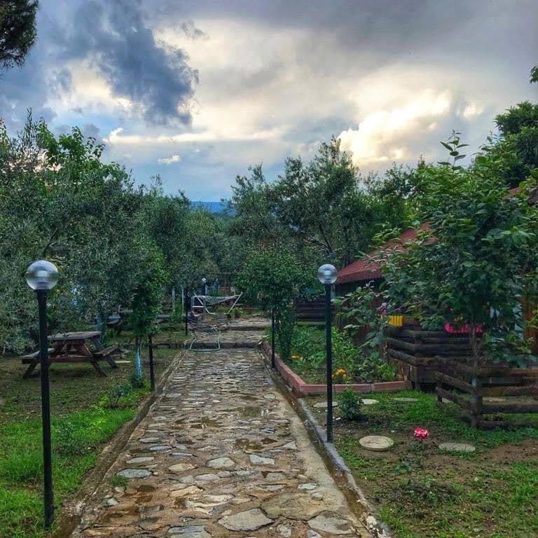Zeytindağı bungalow Mehmetalani Dış mekan fotoğraf