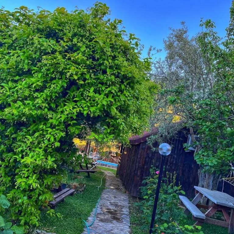 Zeytindağı bungalow Mehmetalani Dış mekan fotoğraf