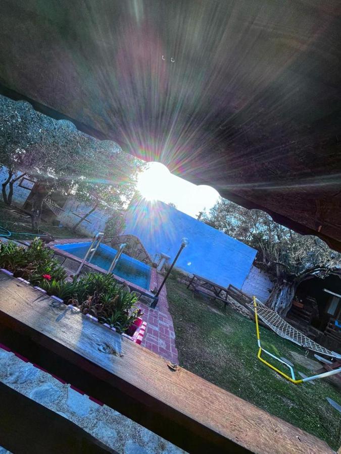 Zeytindağı bungalow Mehmetalani Dış mekan fotoğraf