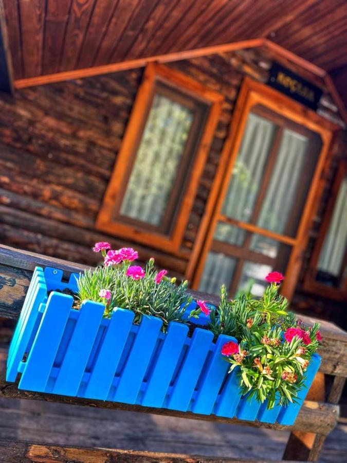 Zeytindağı bungalow Mehmetalani Dış mekan fotoğraf