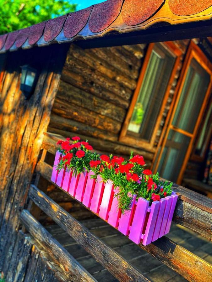 Zeytindağı bungalow Mehmetalani Dış mekan fotoğraf
