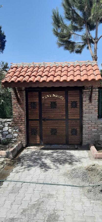 Zeytindağı bungalow Mehmetalani Dış mekan fotoğraf